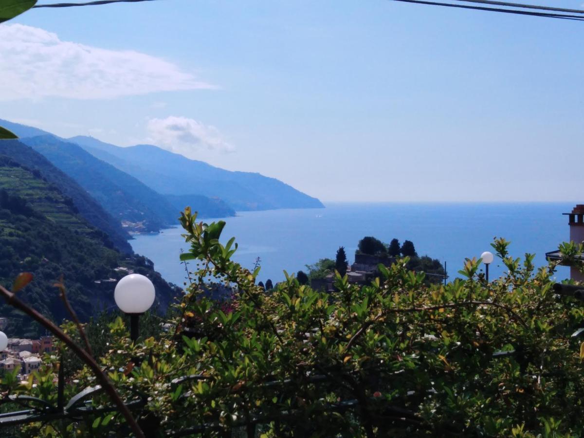 La Cabana Cinque Terre Monterosso Μοντερόσο αλ Μάρε Εξωτερικό φωτογραφία