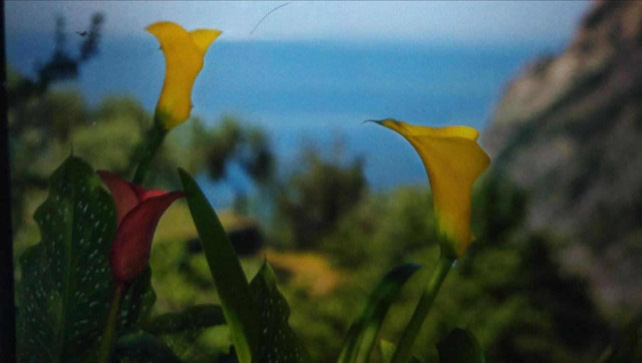 La Cabana Cinque Terre Monterosso Μοντερόσο αλ Μάρε Εξωτερικό φωτογραφία